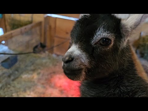 We Saved This Baby's Life