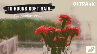 10 HRS RELAXING SOFT RAIN WITH NICE SCREEN / ULTRA 4K (BED WEATHER FEELS) screenshot 2