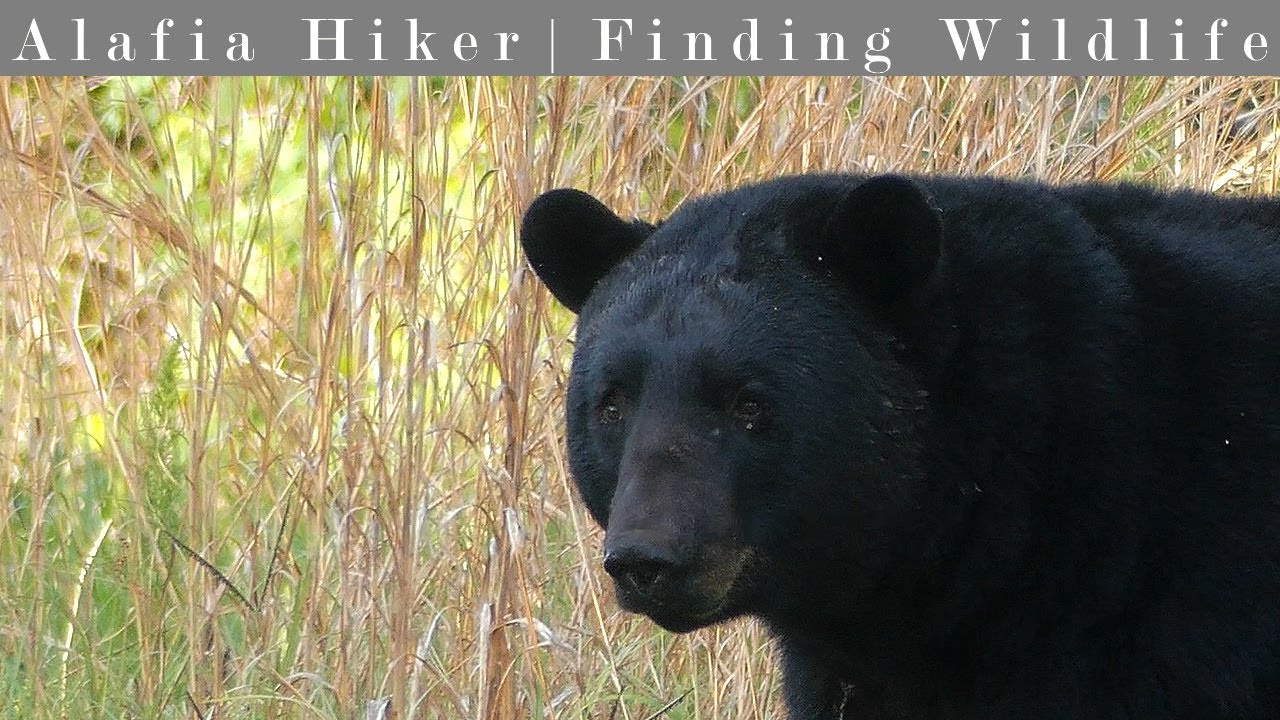 Sunnyhill Restoration Area: West Tract