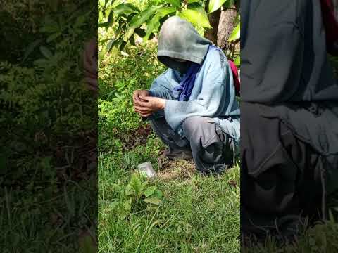 nadaot sa suyop pinagbabawal na gamot