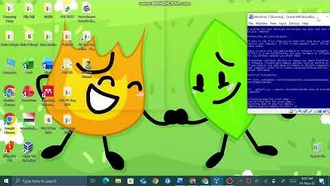 Windows 7 sample video wildlife has bsod vm