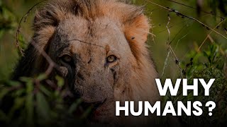 The Man-Eaters of Tsavo – Myth, Science, and the Truth Behind the Lions