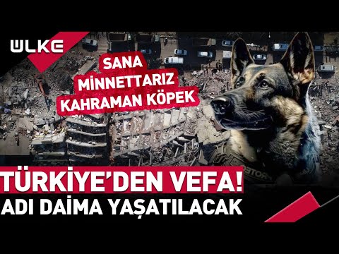 Türkiye'den 'Proteo’ Açıklaması! Adı Kocaeli'nde Yaşatılacak