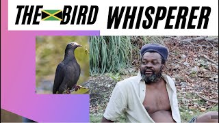 THE JAMAICAN BIRD WHISPERER