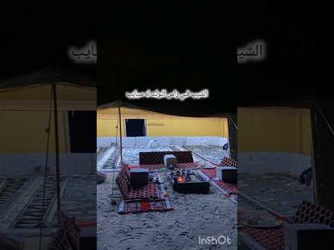 قصيدة بدوية عن الشيب بدون موسيقى أداء أبي همام فهد ابن محمد مثنى شبيل