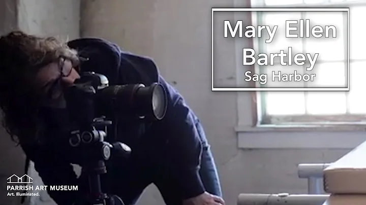 Mary Ellen Bartley - Artist Stories from the Pande...