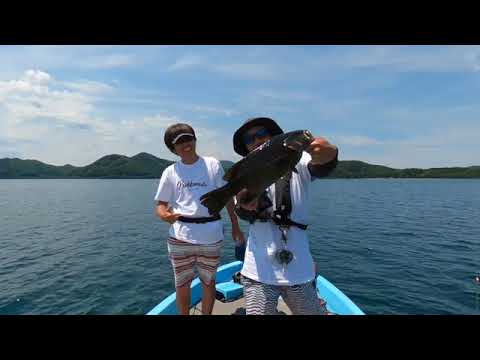 前編 会津組 猪苗代湖釣行 レンタルボートで狙うビッグスモールマウスバス Youtube