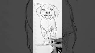🐶 Cute Puppy Sketch in 12 Seconds! 🕛 #shorts