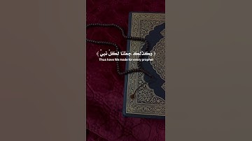 #قرآن #القرآن_الكريم #تلاوات_خاشعة #اكسبلور #تيك_توك #لايك #تعليق#اضافة #ارح_سمعك_وقلبك
