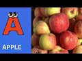 ABC Phonics Song | Alphabet letter sounds | ABC learning for toddlers | Education ABC Nursery Rhymes