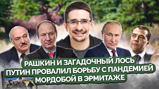 Наки: лось подставил Рашкина, Путин всё провалил, мордобой в Эрмитаже, графоман Медведев