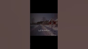 القارئ ماهر المعيقلي #القران #اكسبلور #لايك #تيك_توك