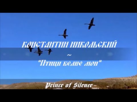 КОНСТАНТИН НИКОЛЬСКИЙ ~