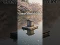 Toilet in different scenery! Which one are you picking?