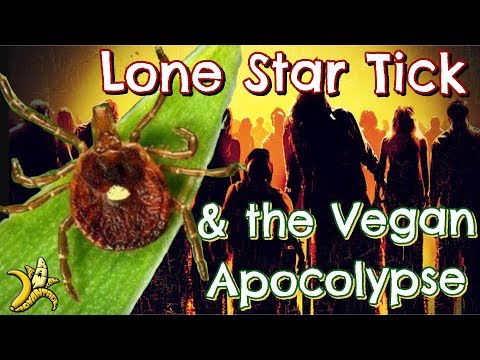 Lone Star Tick   The Vegan Apocalypse