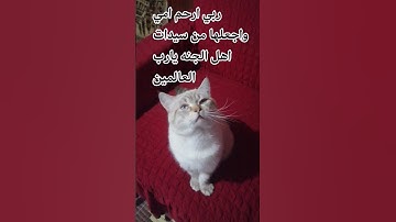 اللهم اجعل القرآن ربيع قلوبنا ونور صدورنا#اكسبلور#راحة_نفسية #اكسبلور القارئ الشيخ ياسر الدوسري