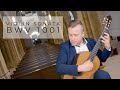 Sonata BWV 1001 - Johann Sebastian Bach played by Sanel Redzic