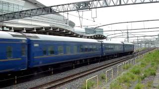 回9502レ EF81 81+24系4B 「黒磯訓練」