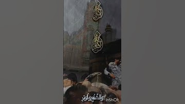 🌷القران الكريم💖
