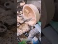 Epic Wood Turning