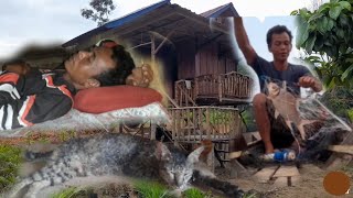 camping penuh kewaspadaan kucing hilang lagi predator apa yang bekeliaran di sekitar pondok kebun