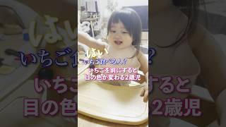イチゴを前にすると目の色が変わる2歳児w #みいちゃん #かわいい #もぐもぐタイム