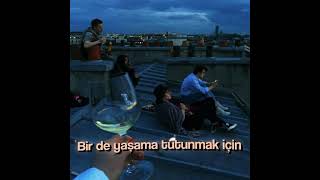 Whatsapp Ucun Statuslar Sevgi Statuslari Qisa Mahnilar