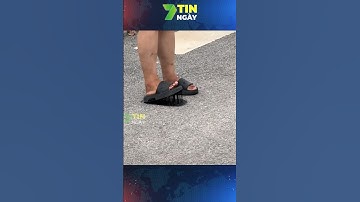 Thấy cũng tội mà thôi cũng kệ #shorts