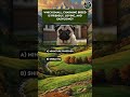 The Most Gentle Dog Breeds Quiz
