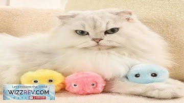 Interactive Ball Smart Cat Toys Plush Electric Catnip Training Toy Kitten Touch