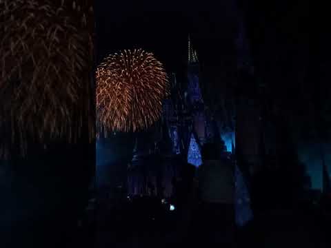 Disny firewroks