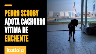 PEDRO SCOOBY MOSTRA 