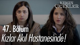 Kızlar, Cemre'yi kurtarmak için harekete geçti! - Kırgın Çiçekler 47. Bölüm