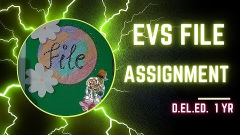 EVS Assignment & Project file 💫 .... DIET(D.el.ed) 1st year  ##ttc_course