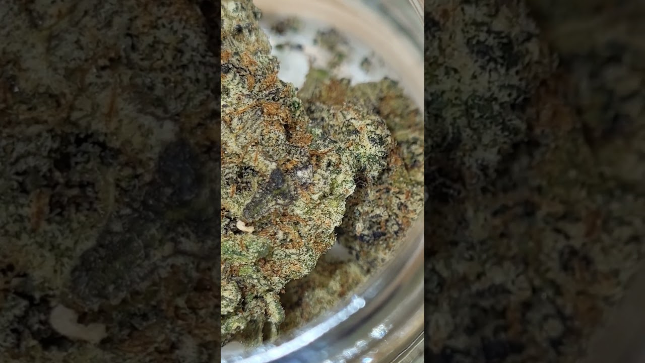 Georgia Velvet 28%thc 