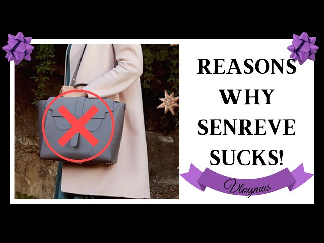 HONEST REVIEW - 1 Year w/ My Senreve Aria Belt Bag & Bracelet