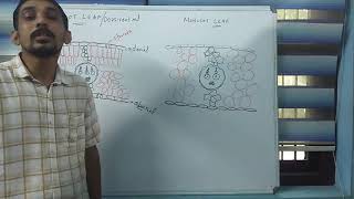 Monocot and dicot leaf anatomy