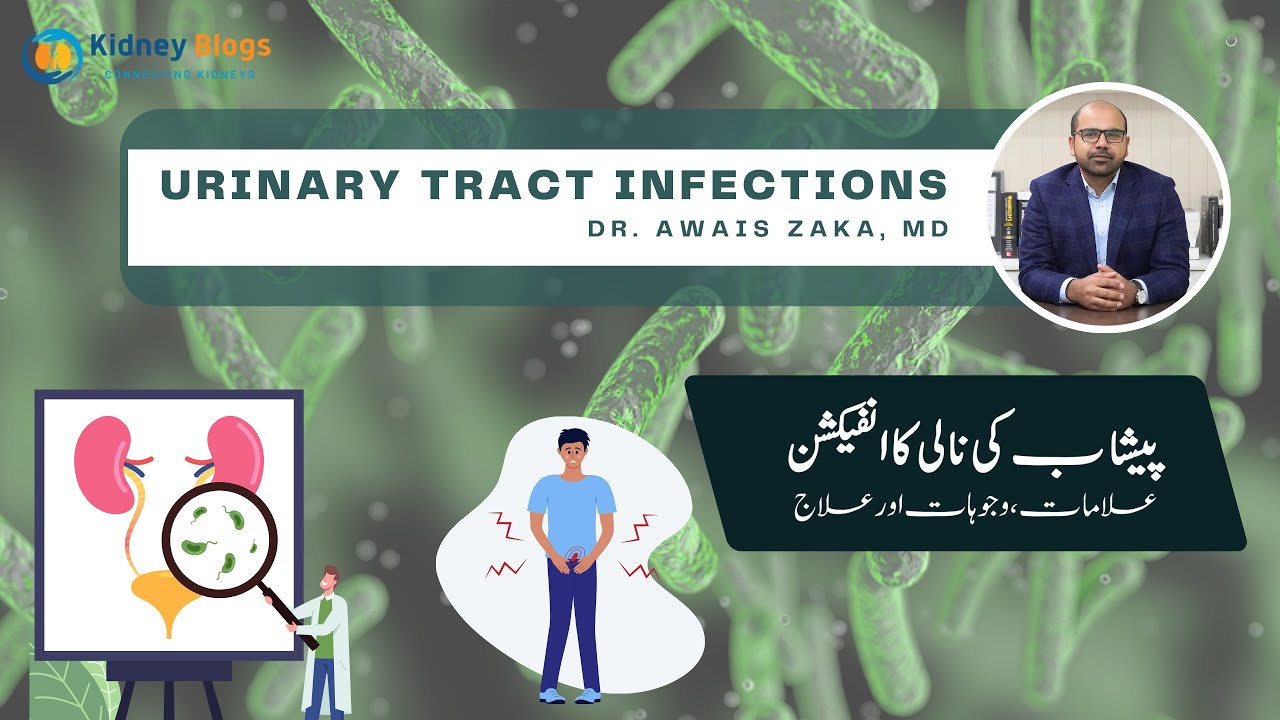 Urinary Tract Infection - An Overview | Causes, Symptoms, Diagnosis, Treatment | Urdu | Episode 45