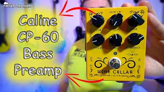 Bass Preamp Caline CP-60 "Wine Cellar"