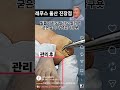 #내성발톱 #IngrownToenail #ToenailCare #FootCare #NailCare #FootHealth #巻き爪 #陥入爪 #MongQuap #ChamSocChan