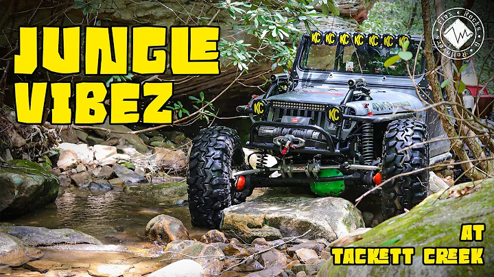 Jungle Vibes at Tackett Creek! Mapping this hidden...