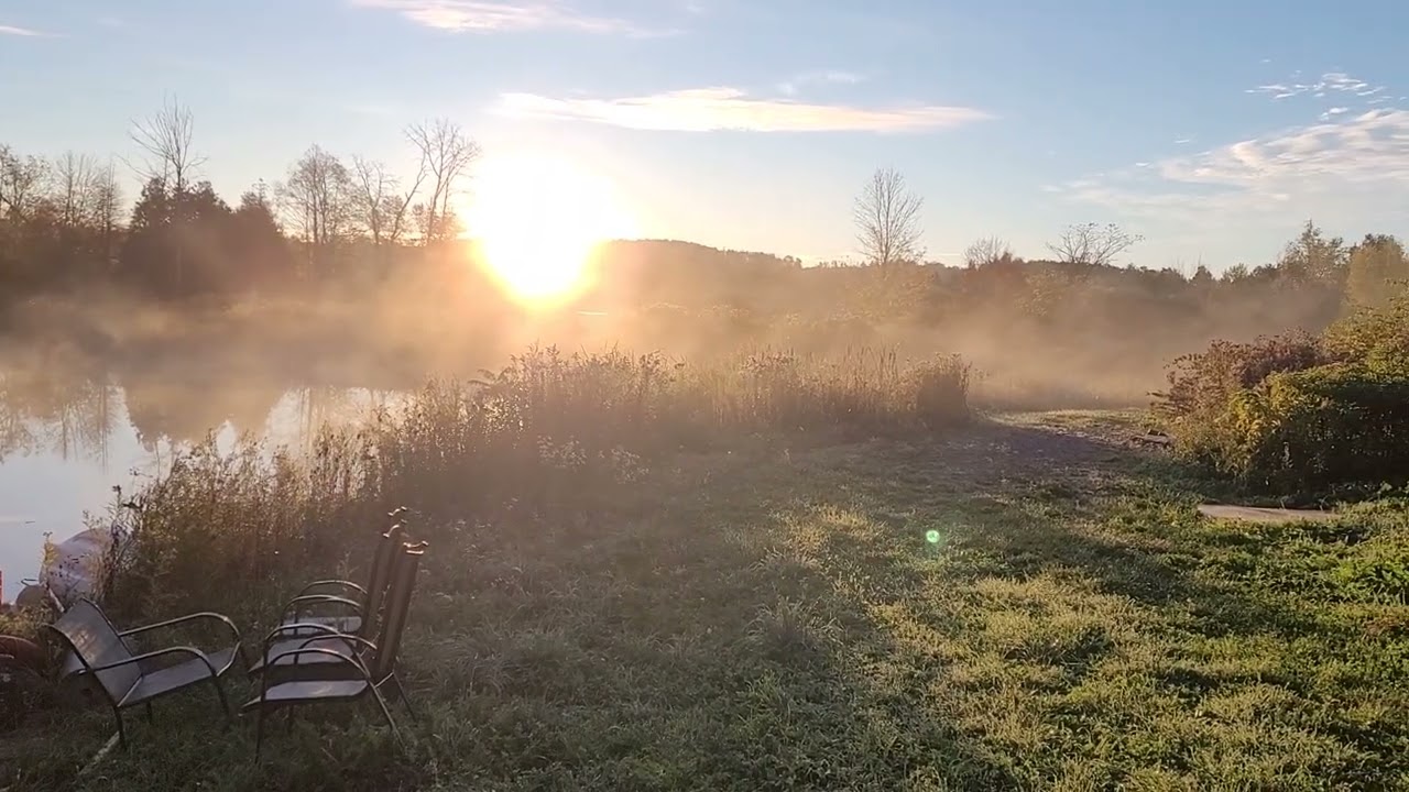 mist rising from the pond 