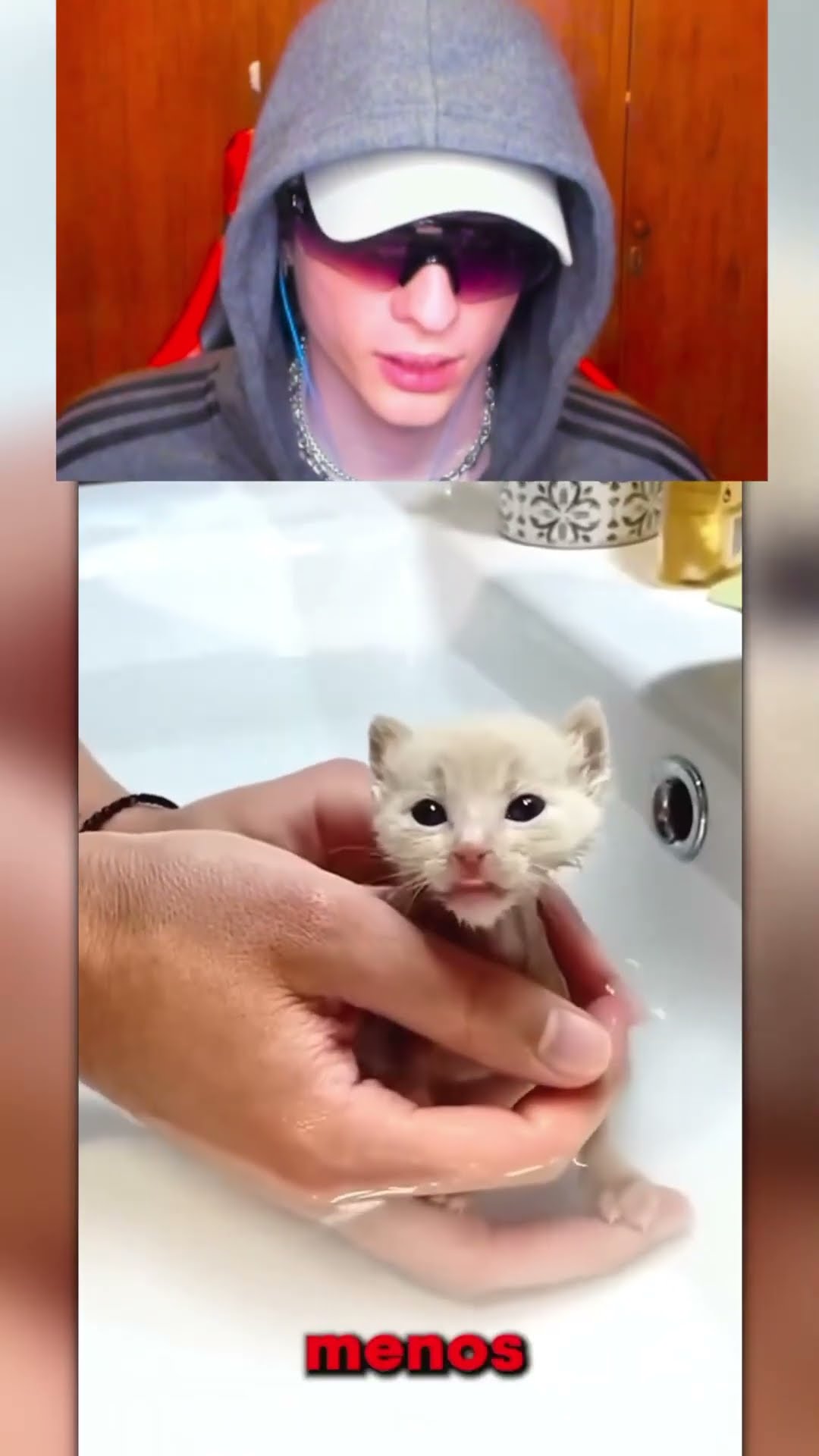 Rescató un GATO pero NO es lo que PARECE??