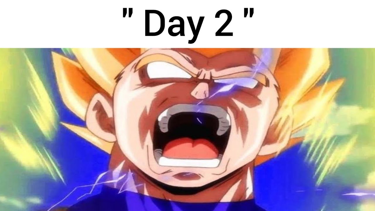 Vegeta Accepts NNN Challenge YouTube Vegeta Accepts NNN Challenge YouTube