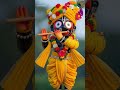 jai Jagannath ji ❤🚩indiangods​ #song​ #viral​ #shorts​ #bhakti​ #jagannath​ #shortfeed