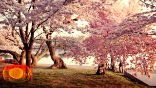 Cresce - Lost In Time