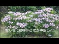 山小舎の灯(軽音楽)近江 俊郎