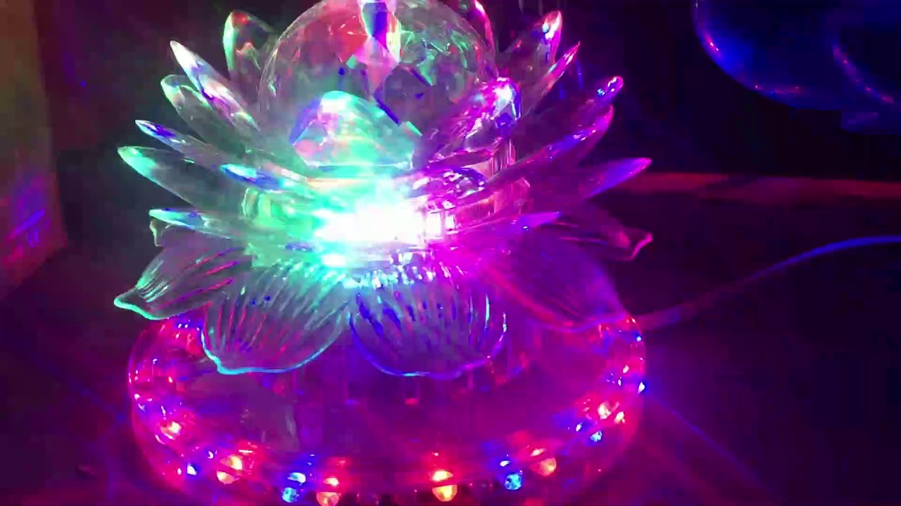 Sunflower LED Light Bulb with holder