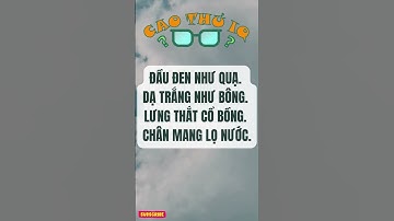 Câu Đố Vui Nhộn 3: Thử Thách Tư Duy Logic Của Bạn p15 | Cao Thủ IQ #funny #dovui #giaitri #haihuoc