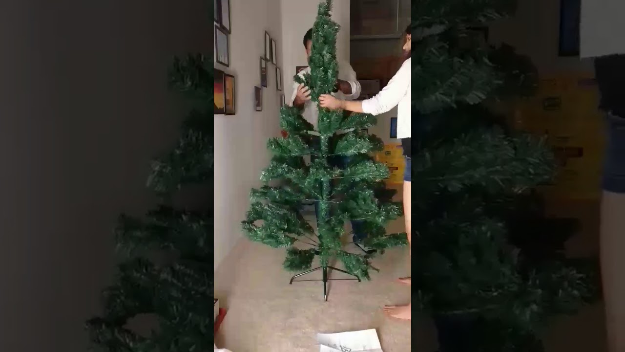 Setting up our christmas tree 2017 - YouTube